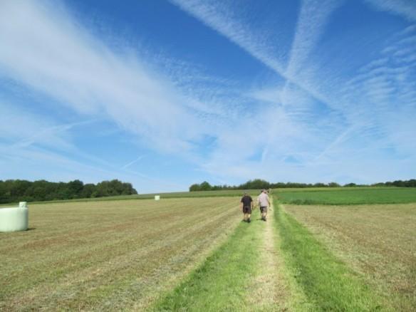 Angevillers, une marche dans une belle nature ! Angevillers, une marche dans une belle nature !