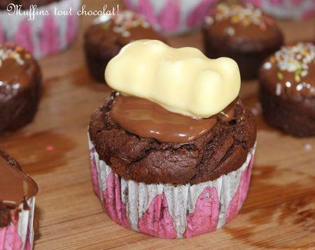 Muffins tout chocolat de Manue! IMG_8774