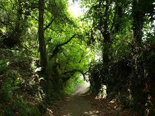 Terdav Trail World Tour, Saint Jacques: 35e étape en images. Terdav Trail World Tour, Saint Jacques: 35e étape en images.