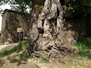 Terdav Trail World Tour, Saint Jacques: 35e étape en images. Terdav Trail World Tour, Saint Jacques: 35e étape en images.