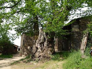 Terdav Trail World Tour, Saint Jacques: 35e étape en images. Terdav Trail World Tour, Saint Jacques: 35e étape en images.