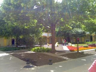 Espace Van Gogh à Arles(photo perso) Pic_0517_001.jpg