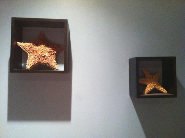 Défi du lundi : du bleu ! 20120529-021031.jpg