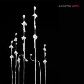 «Karkwa Live» : un concert à trimballer partout
