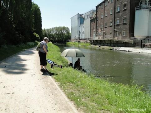 Les rives de la Deûle, de Marcq en Baroeul à Wasquehal.