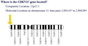 IMAGe et SBW: Croissance retardée ou excessive de l’enfant, un même gène clé – Nature Genetics