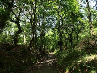 Terdav Trail World Tour, Saint Jacques en images: à travers la Galice. Terdav Trail World Tour, Saint Jacques en images: à travers la Galice.
