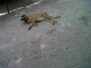 Terdav Trail World Tour, Saint Jacques en images: à travers la Galice. Terdav Trail World Tour, Saint Jacques en images: à travers la Galice.