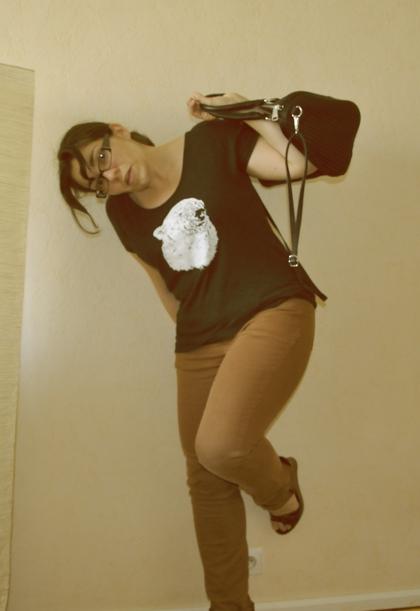 OURSE Pourquoi les blogs font rêver