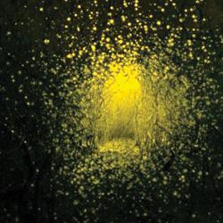 Top chansons 2011 : 50ème - 11ème Top chansons 2011 : 50ème - 11ème