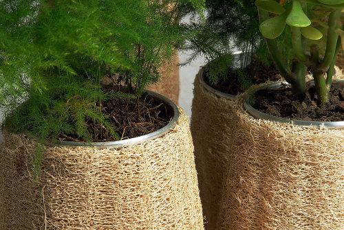 Lufa Series le Design végétal par Fernando Laposse Lufa Series le Design végétal par Fernando Laposse