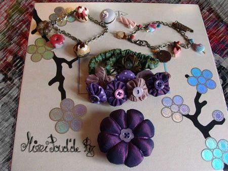 Un petit colis pour MIF DSC02250