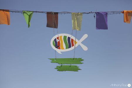 Reportage Photos - Poisson de Juin, La Fête de la Morue de Bègles ! IMG_5951