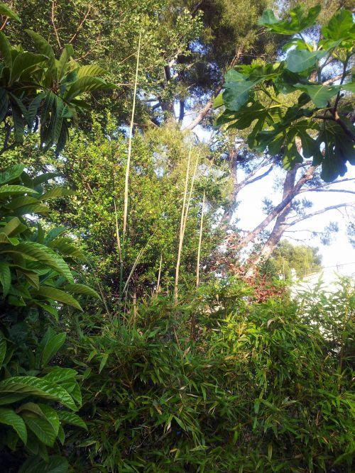 Les opérations de nettoyage de printemps commencent : journal du 2 juin 2012 Les opérations de nettoyage de printemps commencent : journal du 2 juin 2012