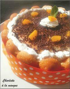 Les premières participations aux concours ! loustika