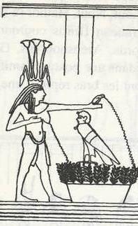 Philae, mur est, partie gauche : Génie ''Nil'' faisant une libation de lait devant Osiris (Dessin : H. Zacharias) Philae---Genie-Nil.jpg