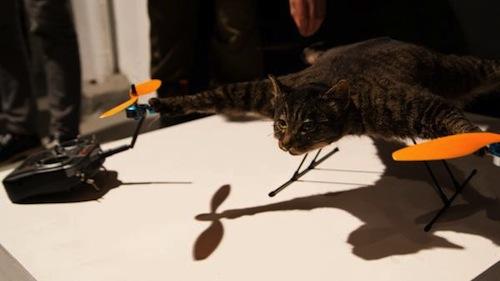 {Insolite} Orvillecopter : un chat empaillé transformé en quadricoptère