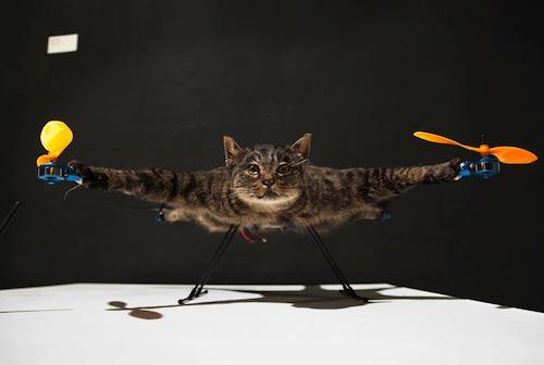 {Insolite} Orvillecopter : un chat empaillé transformé en quadricoptère