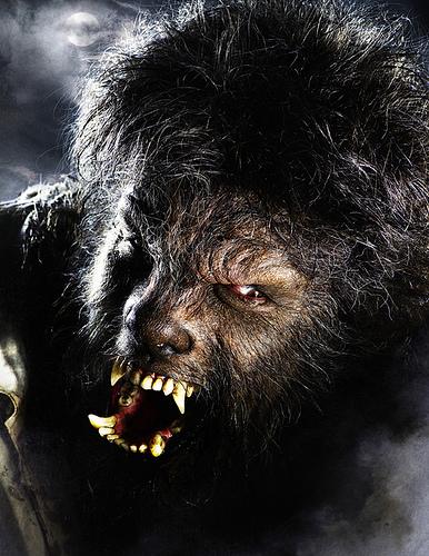 Premier coup d’oeil: Benicio Del Toro dans ”The Wolfman”