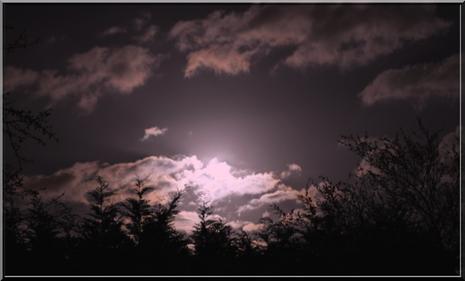 Echevelée, la nuit