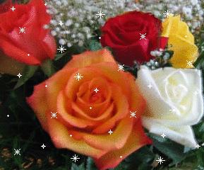 Pain de viande à l’Italienne