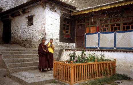 tibet-moines-et-chats.1206270386.jpg