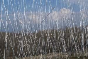 Beaufort 04 Phrases rivages, phrases amorces