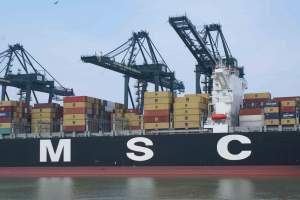 vague containers Phrases rivages, phrases amorces