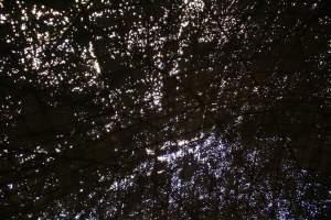 Beaufort 04 Phrases rivages, phrases amorces