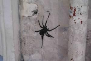 Araignée pochoir Des losanges dans le miroir, et des chakras.
