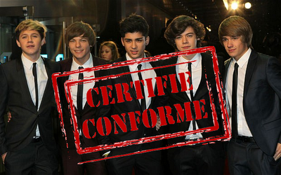 #.6 : One Direction, une recette certifiée depuis 1983