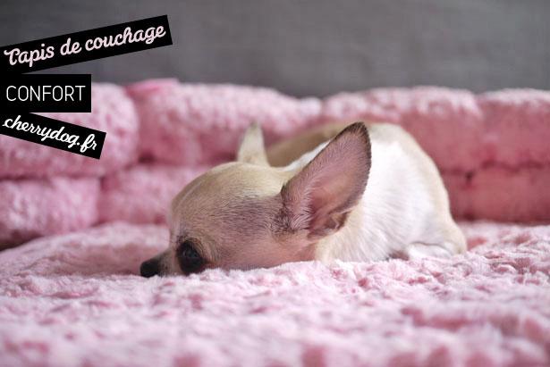 Le tapis de couchage rose pour chiens