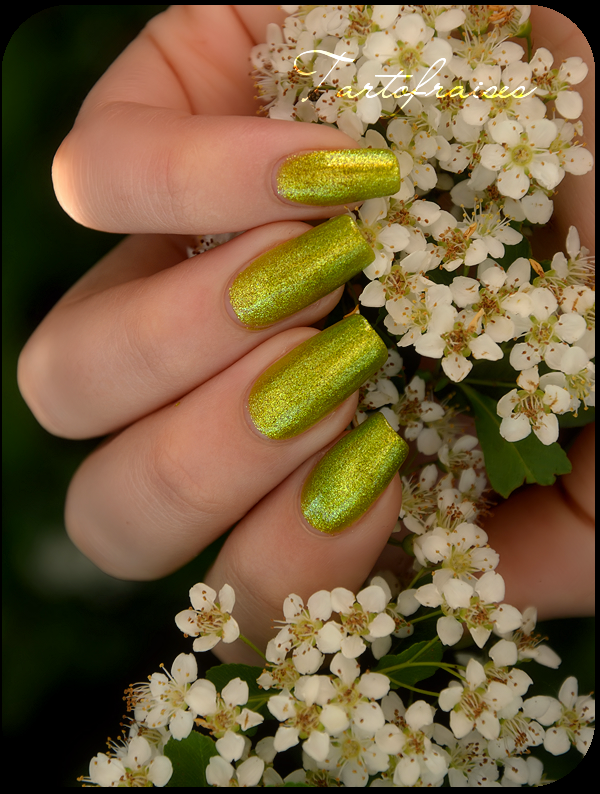 http://images.tartofraises.fr/vernis/CC/takeWing/CC-FlyWithMe_4.png