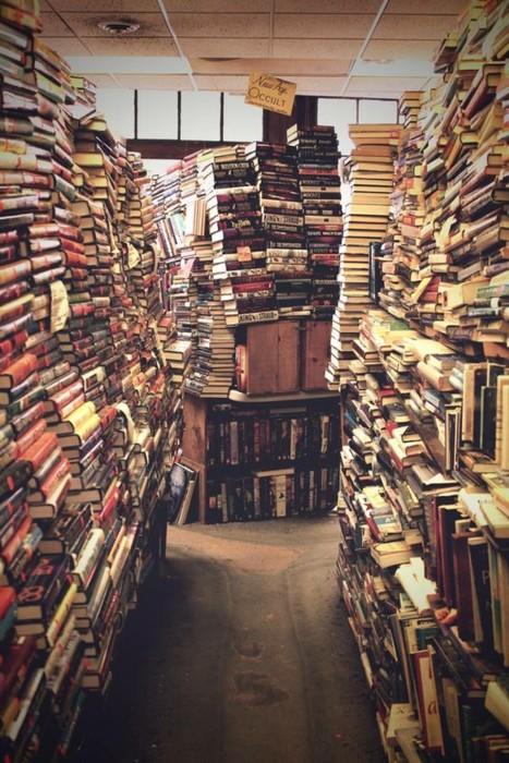 Coup de coeur pour Bookshelf Porn