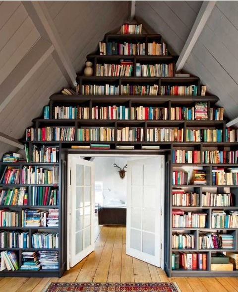 Coup de coeur pour Bookshelf Porn
