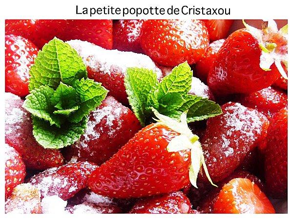 MES PREMIÈRES FRAISES MES-FRAISES.jpg