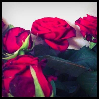 rose bouquet Quand Remy m’offre des roses – Concours