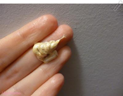 Gommage aux noyaux d'abricots Gommage aux noyaux d'abricots