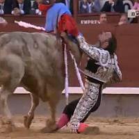 Il faut interdire la corrida partout en France aparicio