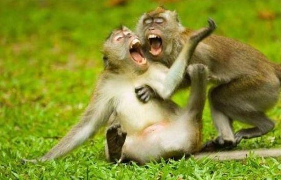 Plus rien ne va au pays des modèles réduits.... 267563 224333580931392 4077696 n