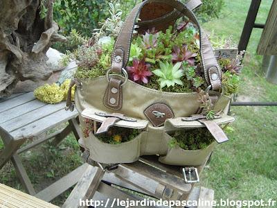 Mon coup de coeur aux jardins d'Albertas Mon coup de coeur aux jardins d'Albertas