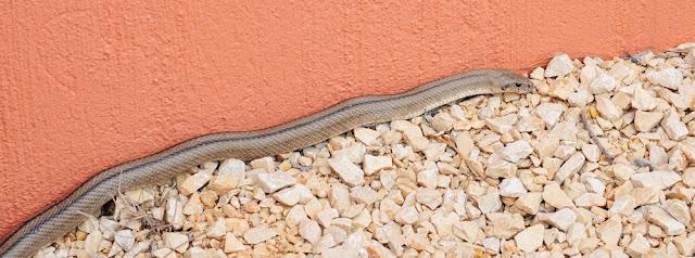 Photographies de la semaine : de l'eau, une couleuvre, des boites et un éclair Photographies de la semaine : de l'eau, une couleuvre, des boites et un éclair