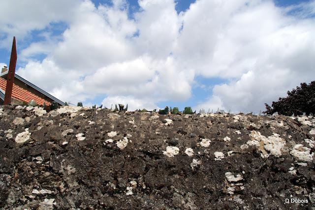 Les Chats des rues - Trentemoult Les Chats des rues - Trentemoult