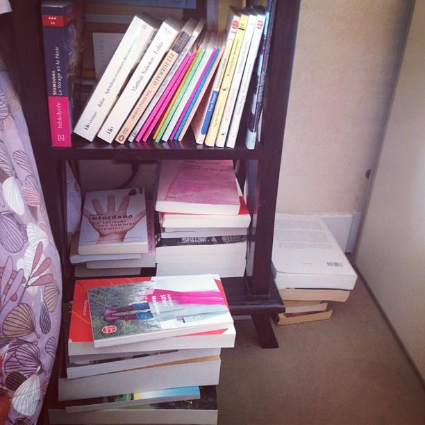 Du management de PAL quand on est psychorigide Pile à lire #pal