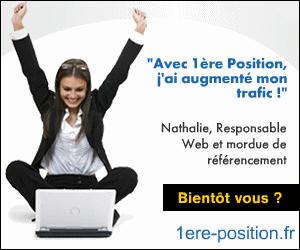 Le livre : 140 conseils de blogueurs pour développer une activité professionnelle sur le web Développer votre trafic avec le référencement naturel et 1ère Position