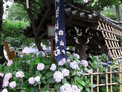 Le sanctuaire Hakusan à Tokyo