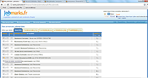 offre-emploi-jobmarks-liste.png