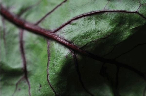 jeveuxetrebonne7 jeveuxetrebonne7 Inspiration #3