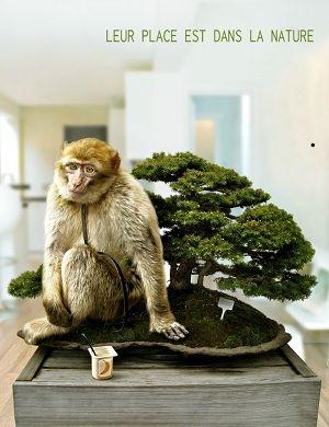 Leur place est dans la nature leur-place-est-dans-la-nature