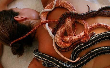 “Snake Massage”…un massage extrême!